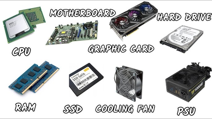 SSD Storage